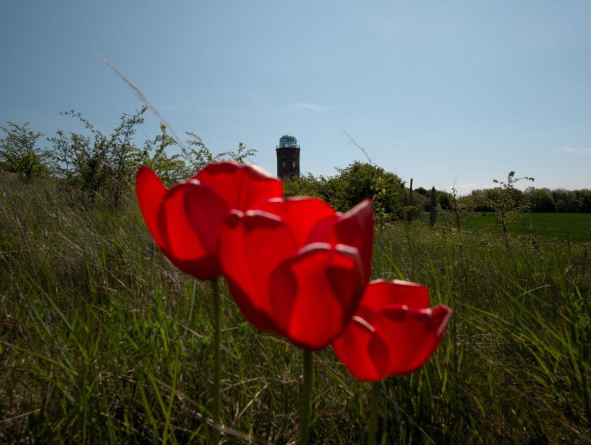 Schoene Ferienwohnung Breege Exteriör bild